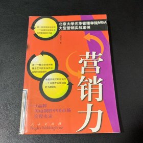 营销力:A品牌闪电制胜中国市场全程实录