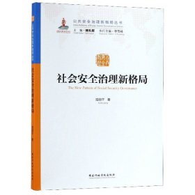 社会安全治理新格局/公共安全治理新格局丛书