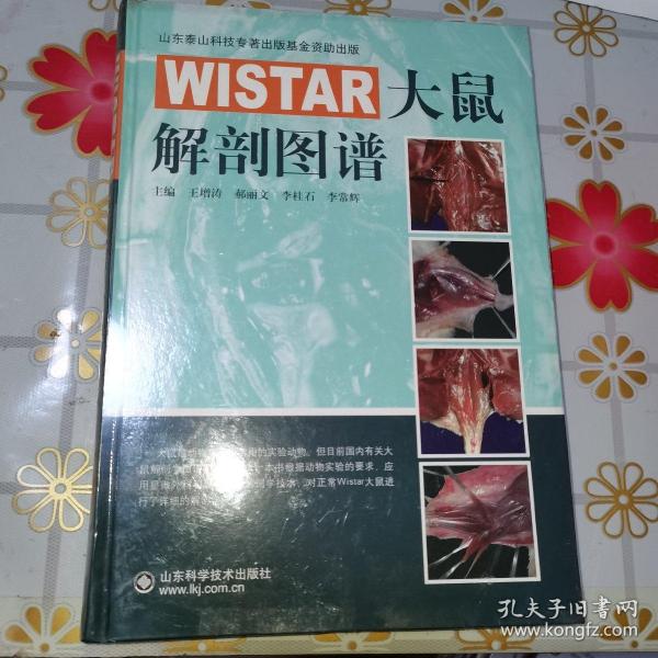 WISTAR大鼠解剖图谱