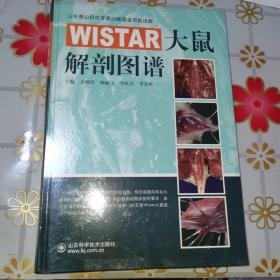 WISTAR大鼠解剖图谱