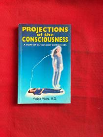 PROJECTIONS OF THE  CONSCIOUSNESS