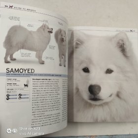 The Complete Dog Breed Book: Choose the Perfect Dog for You 狗狗类品种完整书 超420个狗狗品种参考面板图册 狗狗护理照顾基础知识 DK百科