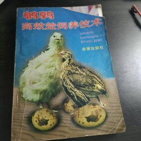 鵪鶉高效益飼養(yǎng)技術(shù)
