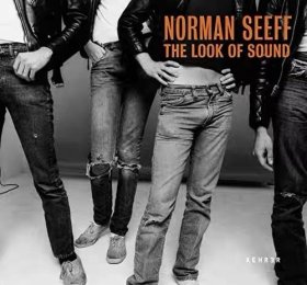 现货 Look of Sound, The  Norman Seeff  诺曼希弗 明星肖像摄影 作品集