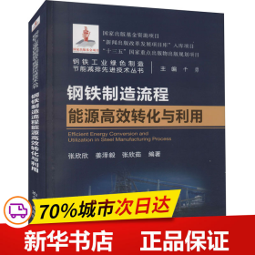 钢铁制造流程能源高效转化与利用