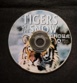 tigers of the snow西伯利亚猛虎dvd（国家地理纪录片）（英文解说中文字幕）