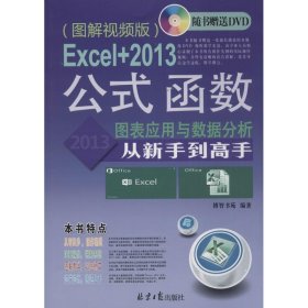 Excel+2013公式、函数、图表应用于数据分析从新手到高手：图解视频版