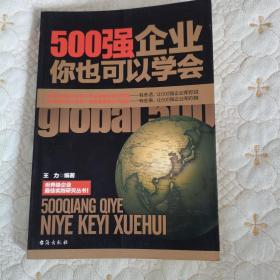 500强企业你也可以学会（一版一印，品佳）