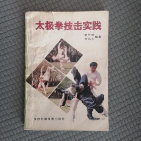 太极拳技击实践