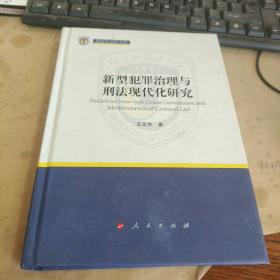 新型犯罪治理与刑法现代化研究（新时代北外文库）