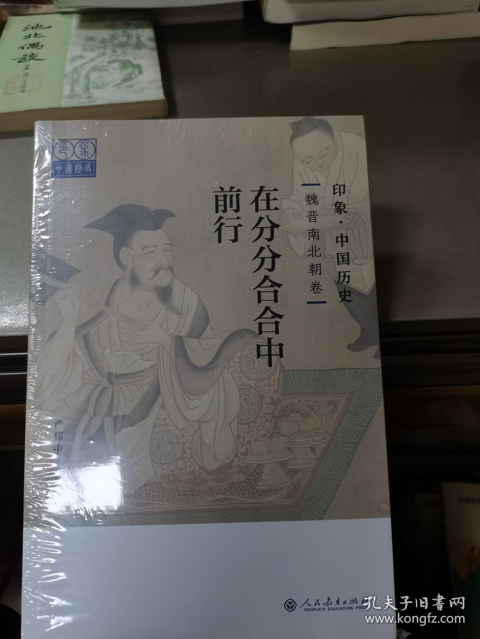 印象·中国历史 魏晋南北朝卷：在分分合合中前行