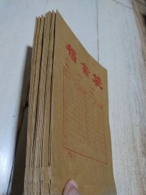 档案袋 （10个）