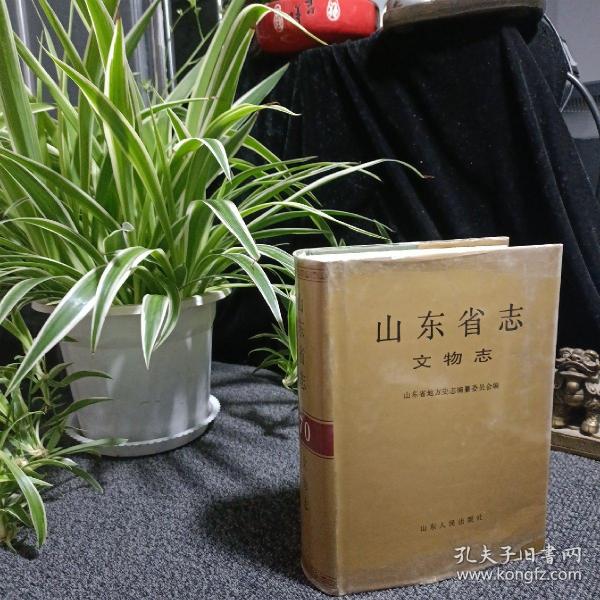 山东省志.第70卷.文物志