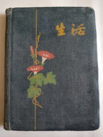 生活日记本
六十年代老日记本，记满1962年农村工作笔记