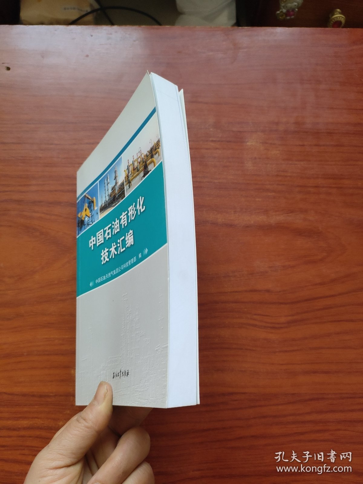 中国石油有形化技术汇编