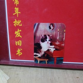 贺卡 明信片 2