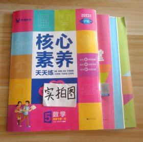 学缘核心素养天天练：数学（五年级下册R）