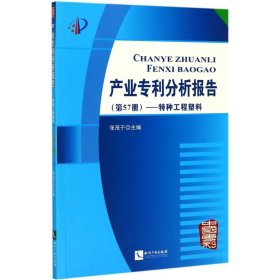 产业专利分析报告