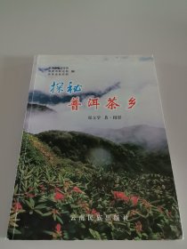 探秘普洱茶乡