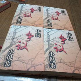 中国争议小说集全四卷