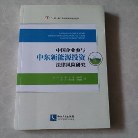 中国企业参与中东新能源投资法律风险研究