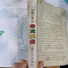 中国小学生作文大全