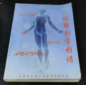 人体解剖学图谱 （天津中医药大学）特价
