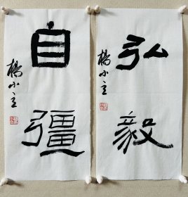 杨小立 ，中国书法家协会会员，河南省南阳市书协副秘书长，宛城区书法家协会副主席兼秘书长。男，1972年出生。 入展获奖： “青川木牍杯”首届全国隶书书法大赛中入展(四川省书协)； 2022“中国书法·年展”全国篆书、隶书、篆刻作品展前41名，获得面试考核(中书协)…… 《弘毅、自强》，小品一幅。保真，来自作者，17x34cm x 2，未装裱，附同批作品合影。d7557 。