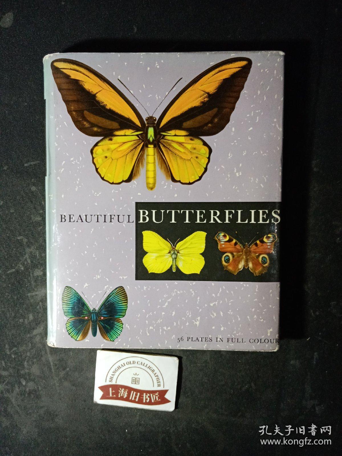 Beautiful Butterflies(精装)