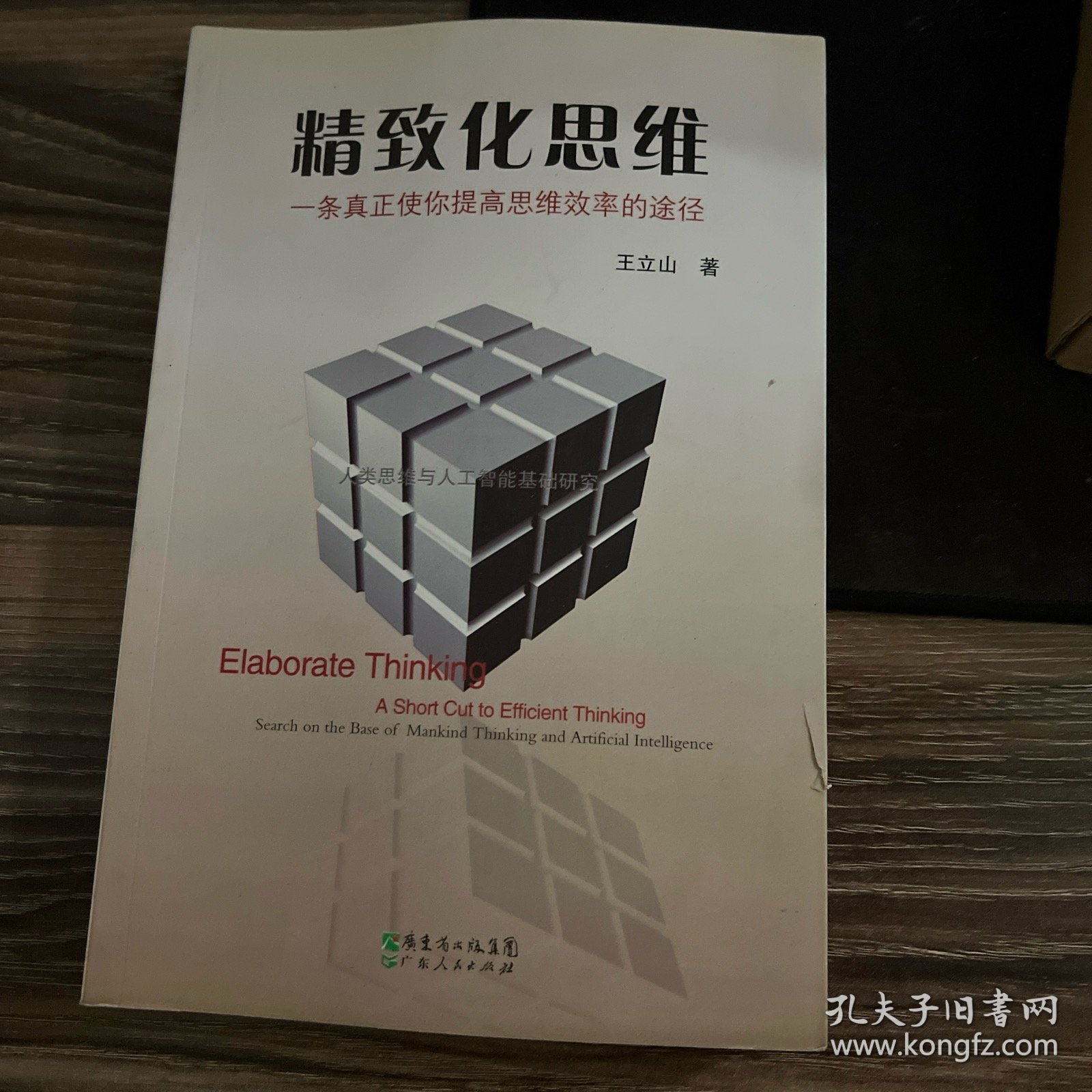 精致化思维-一条真正使你提高思维效率的途径