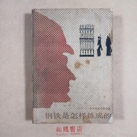 《钢铁是怎样炼成的》