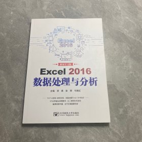 Excel 2016数据处理与分析