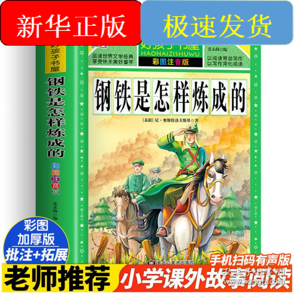 钢铁是怎样炼成的/新课标学生课外必读丛书
