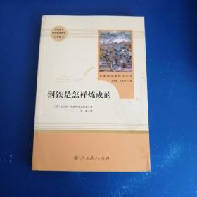 统编语文教材配套阅读 八年级下：钢铁是怎样炼成的/名著阅读课程化丛书