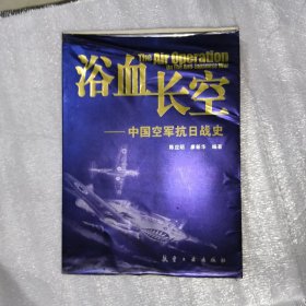 浴血长空：中国空军抗日战史