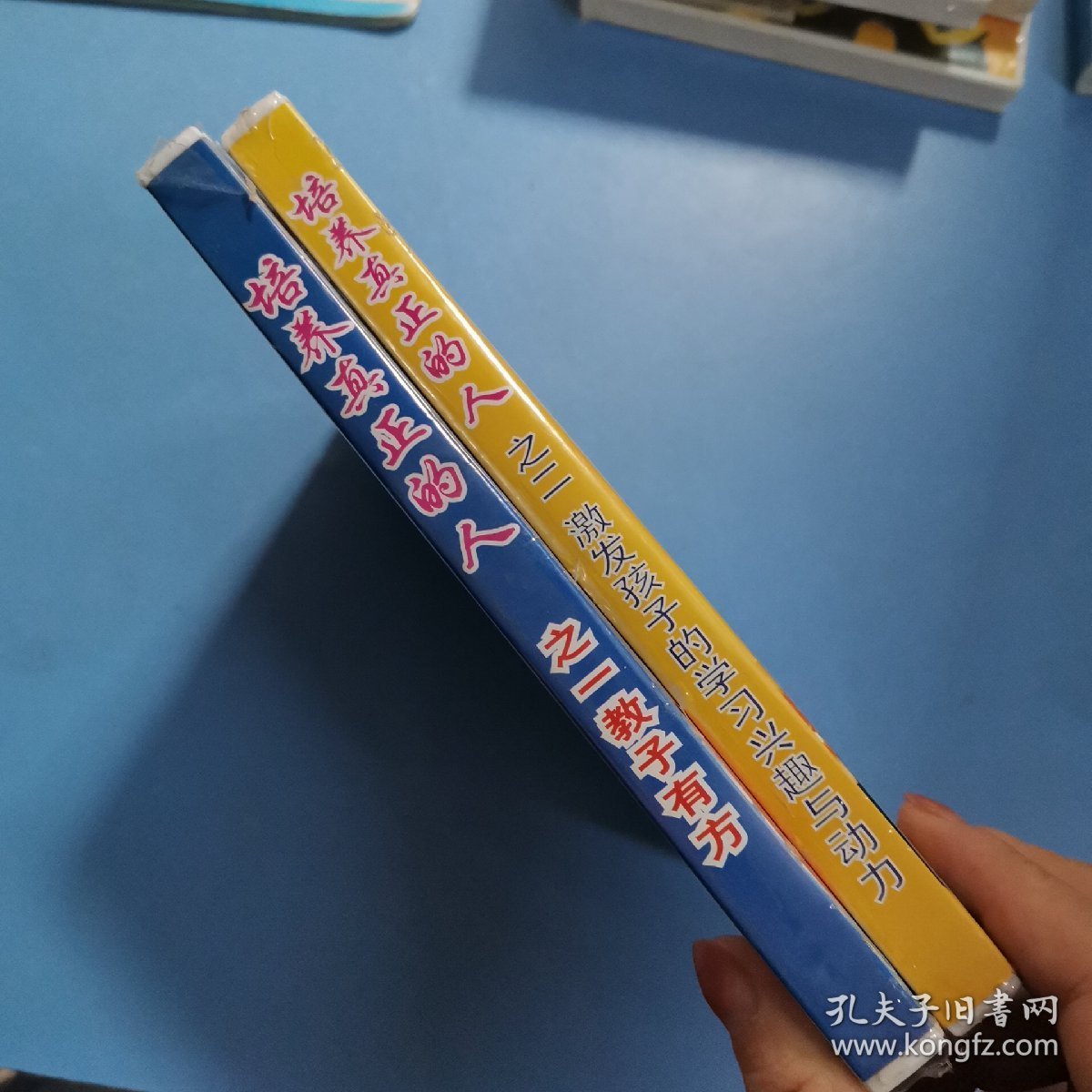 培养真正的人 之一教子有方+之二激发孩子的学习兴趣与动力 2VCD+2DVD