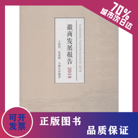 徽商发展报告 2019 9787567644045