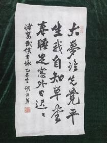 大梦谁先觉 胡绍成书