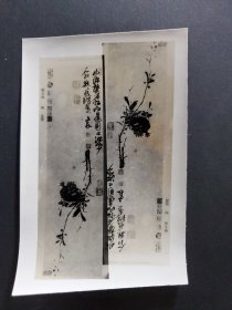 ●怀旧老照片《榴实图》【八十年代15X11公分】！