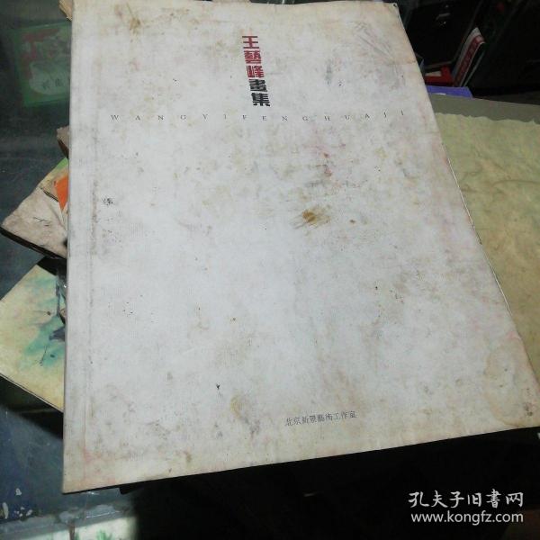 王艺峰画集