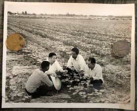 老照片 安徽阜阳地区1980年新闻照片 品相尺寸以图为准 货号：5167