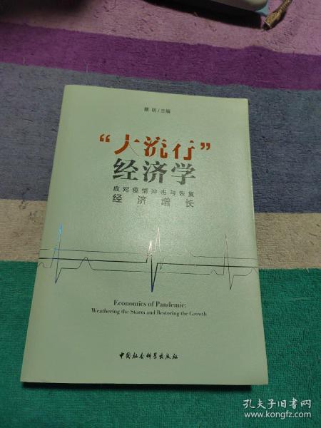 “大流行”经济学——应对疫情冲击与恢复经济增长