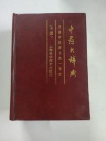 中药大辞典(下册)