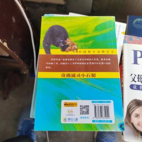 中国野生动物传奇-奇遇通灵小石貂