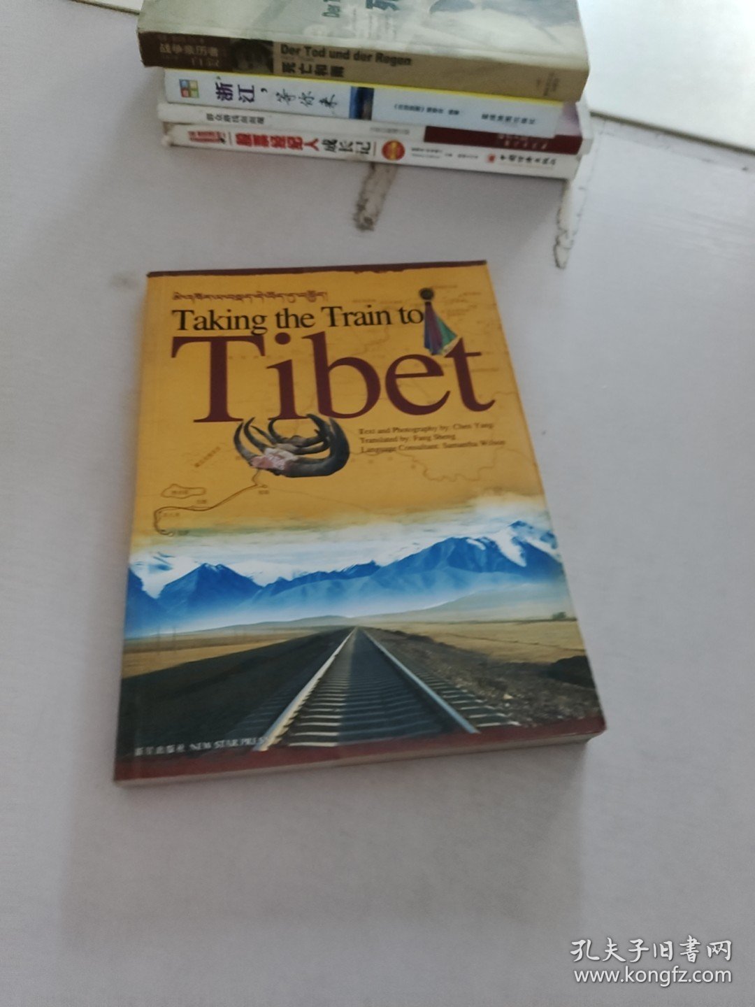 Taking the train to Tibet乘火车去西藏(LMEB25069)