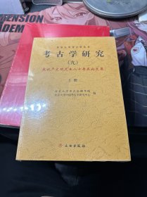 考古学研究（九):庆祝严文明先生八十寿辰论文集(上册)(平)