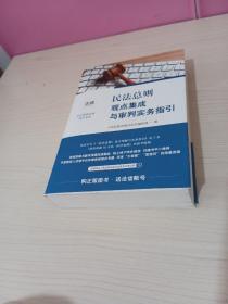 民法总则观点集成与审判实务指引