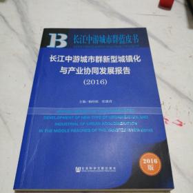 长江中游城市群新型城镇化与产业协同发展报告（2016）