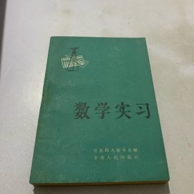 数学实习