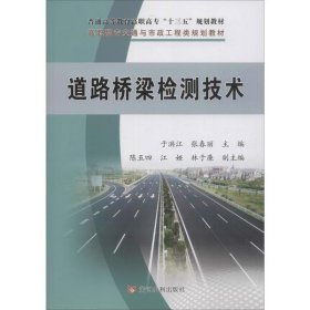 道路桥梁检测技术(高职高专交通与市政工程类规划教材)
